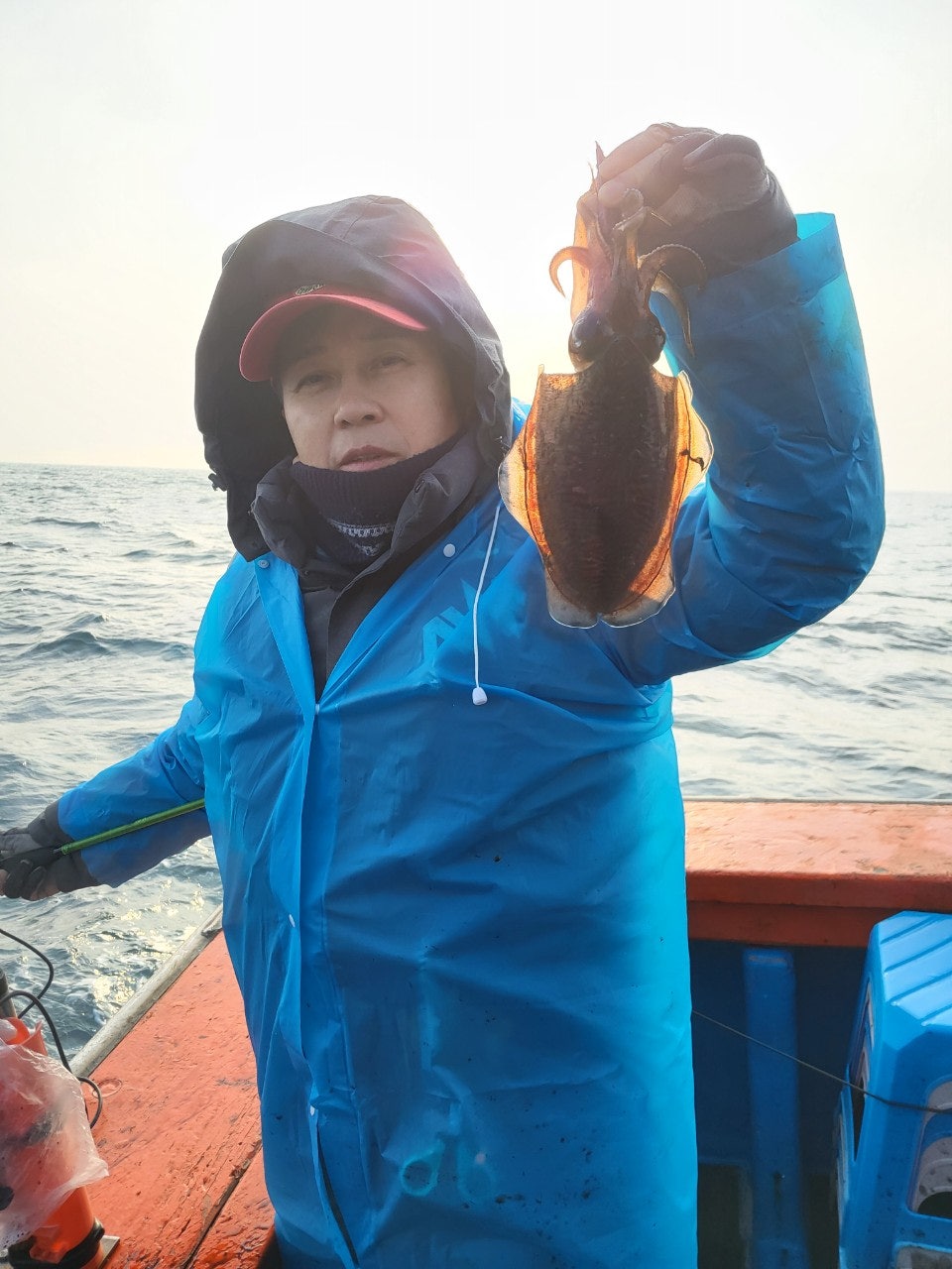 사용자가 올린 이미지