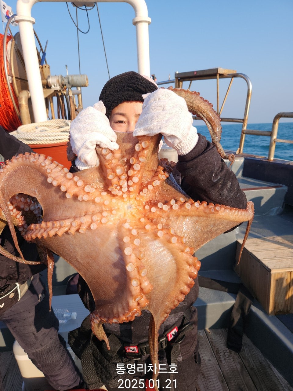 사용자가 올린 이미지