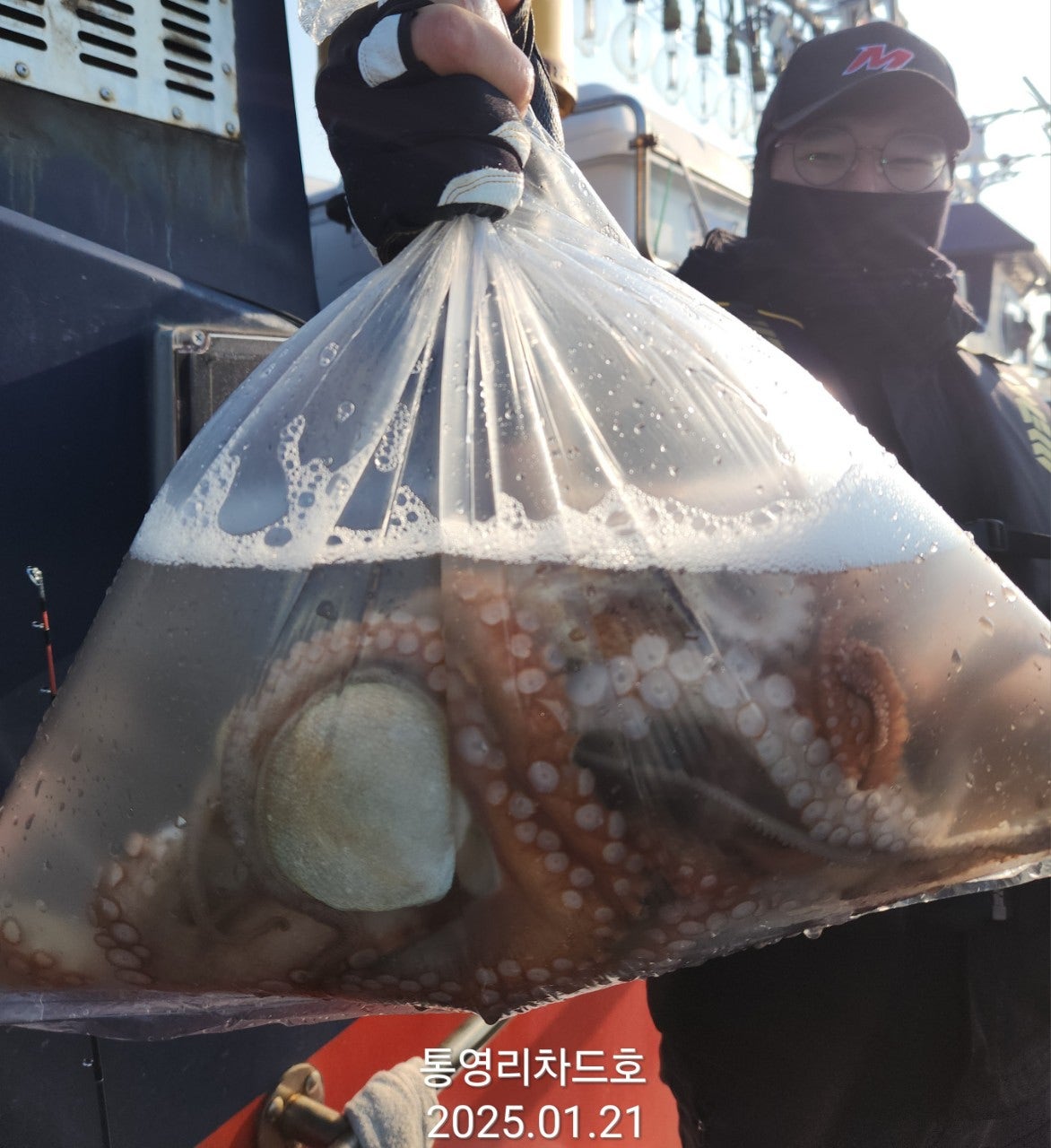 사용자가 올린 이미지