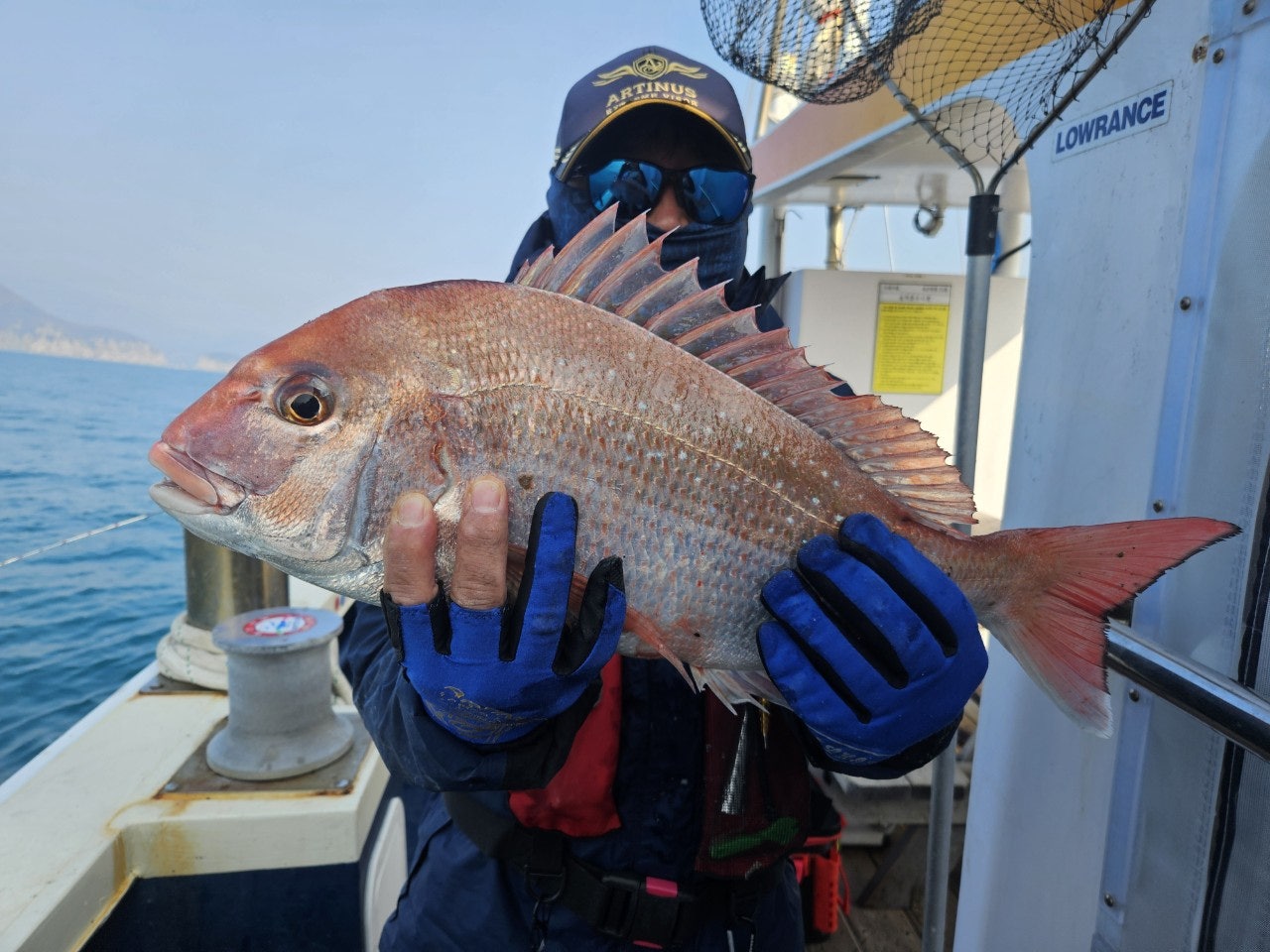 사용자가 올린 이미지