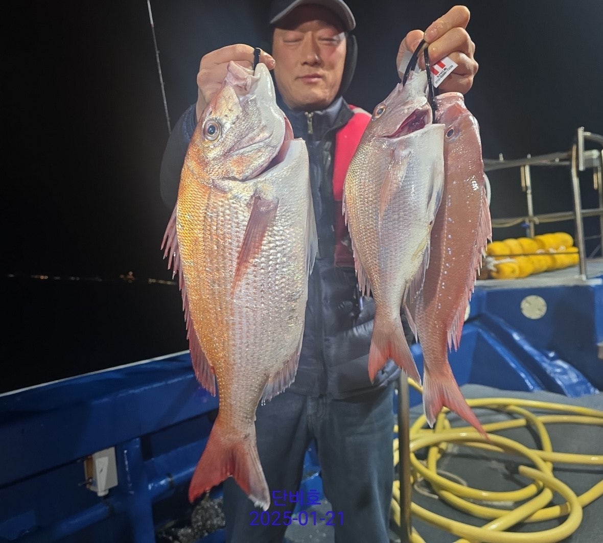 사용자가 올린 이미지