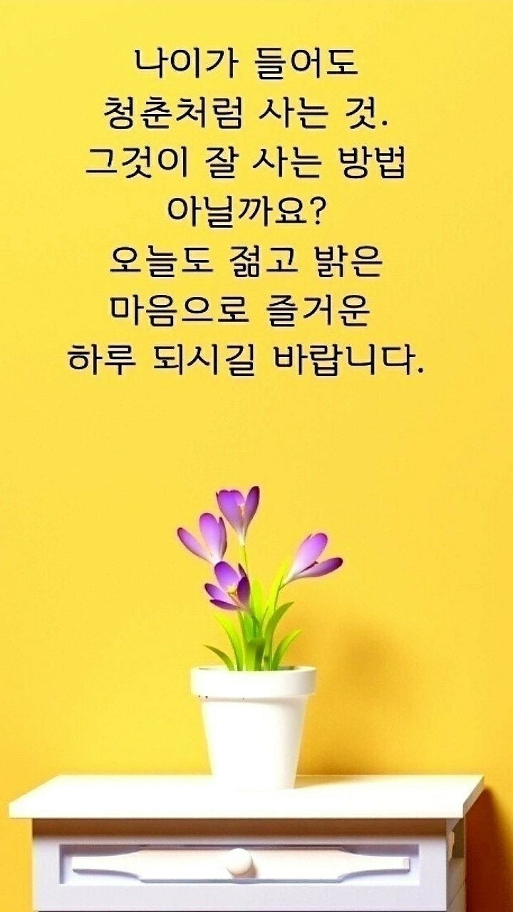 사용자가 올린 이미지