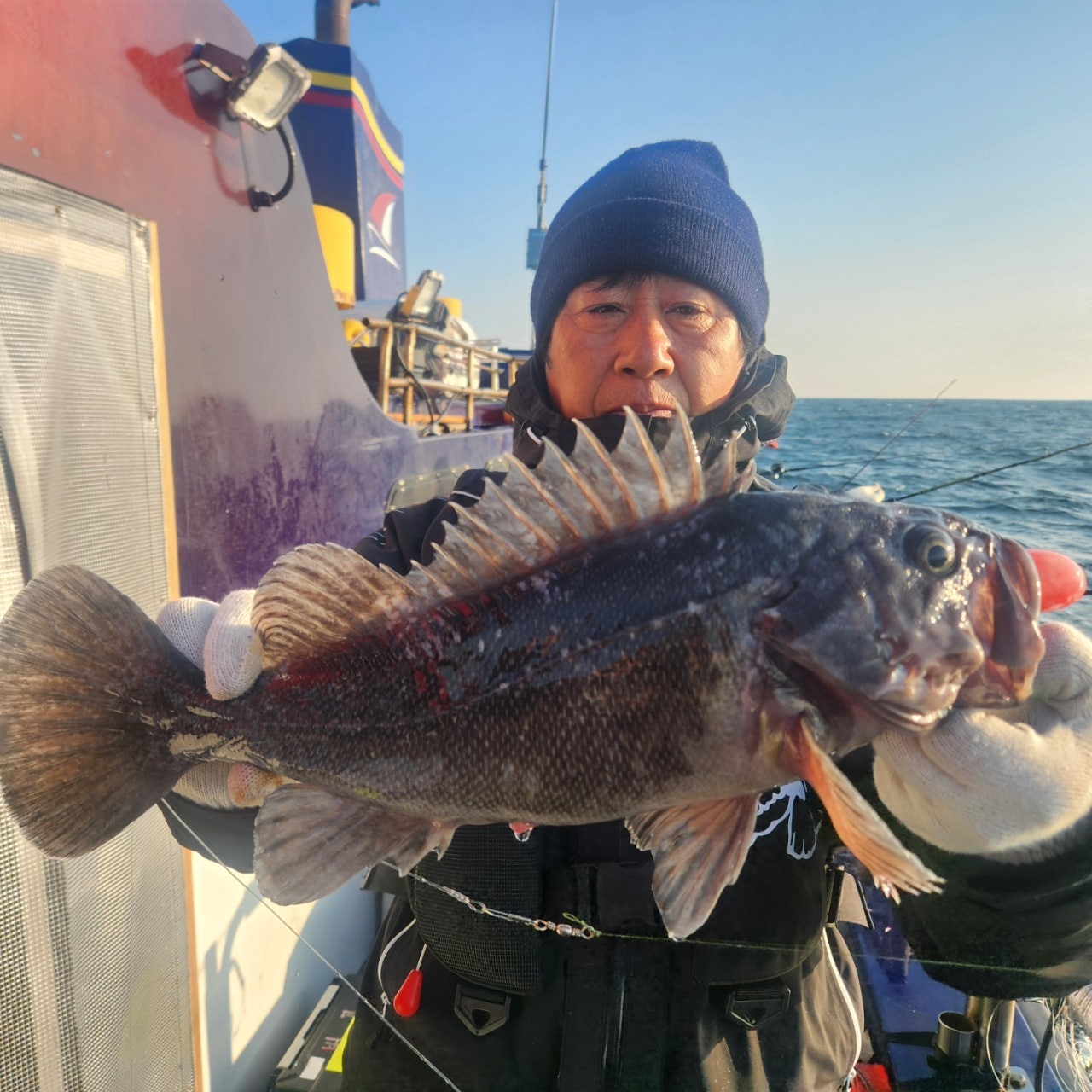 사용자가 올린 이미지