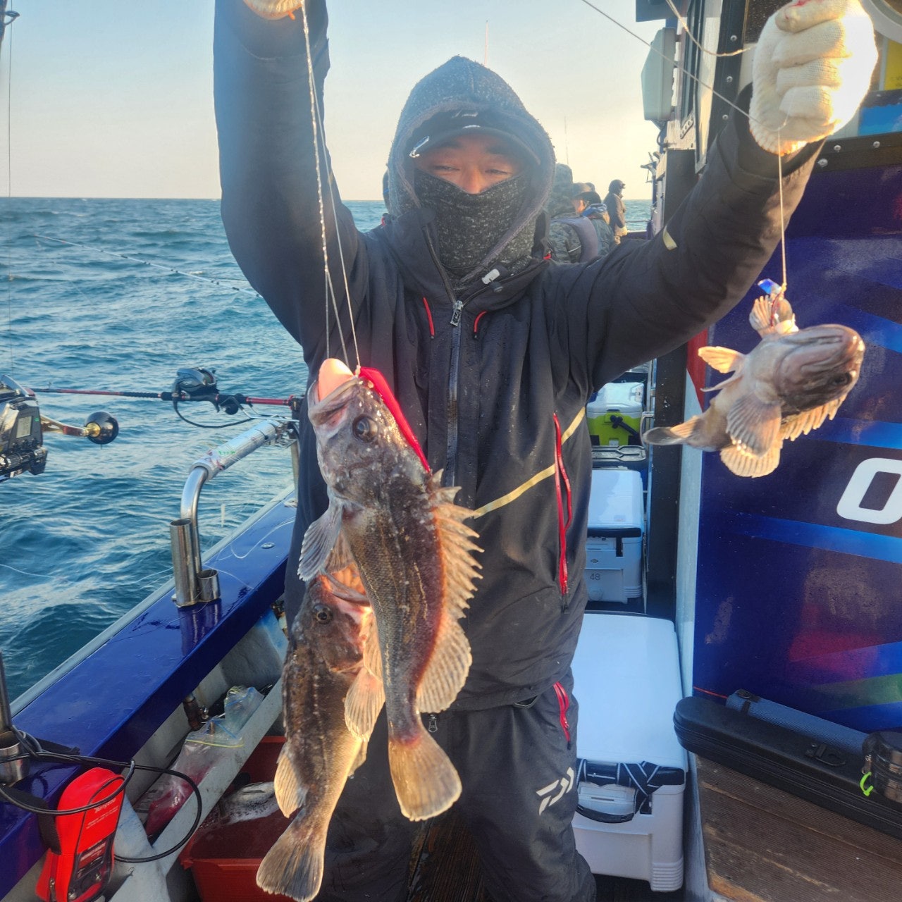 사용자가 올린 이미지