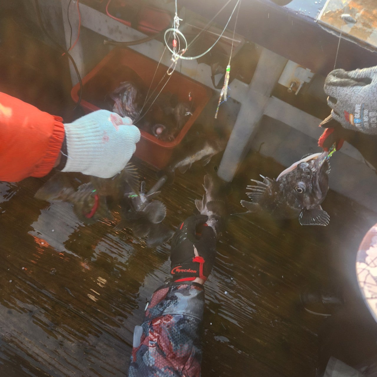 사용자가 올린 이미지