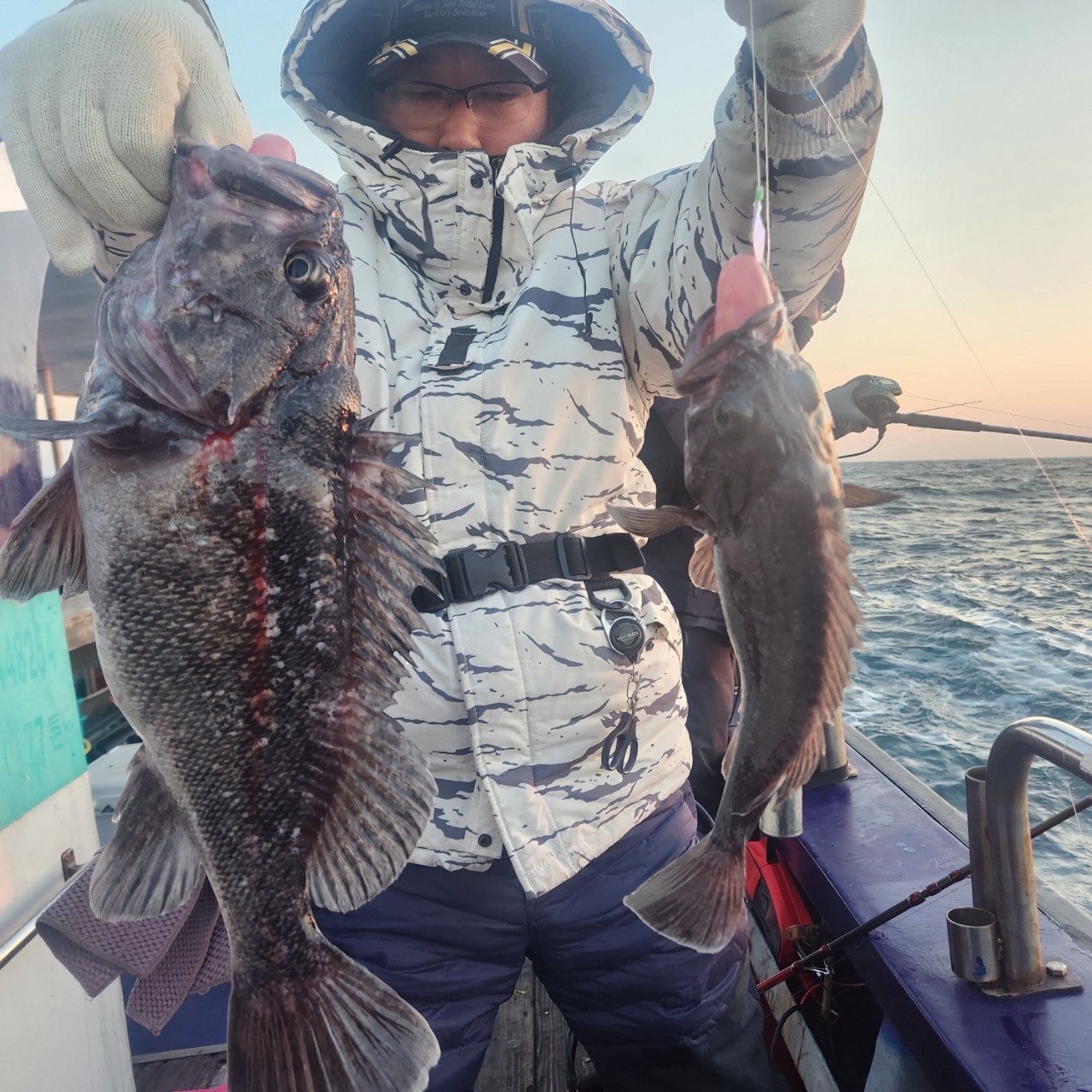 사용자가 올린 이미지