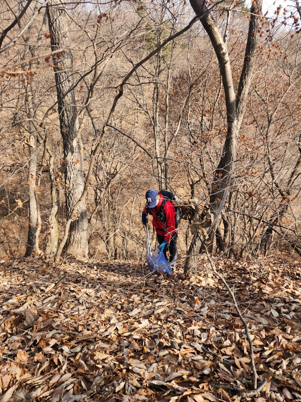 사용자가 올린 이미지