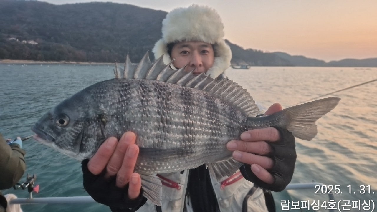사용자가 올린 이미지