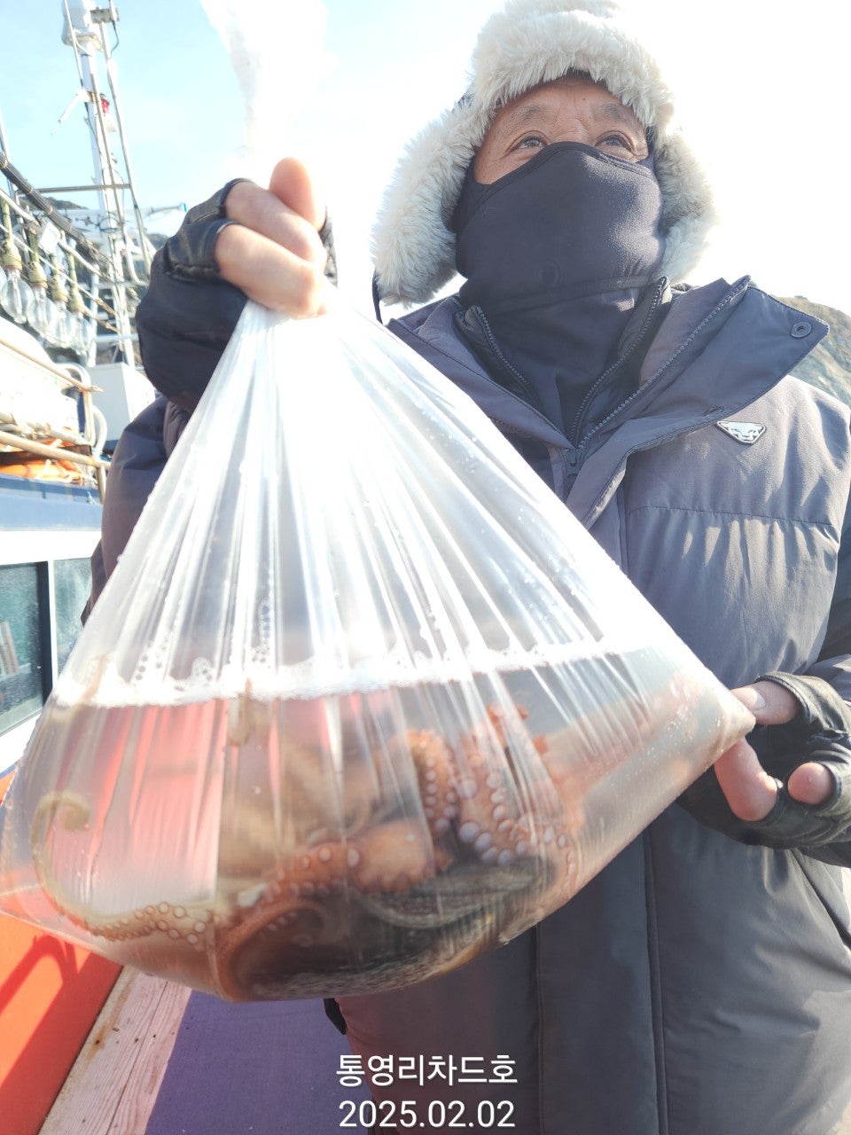 사용자가 올린 이미지