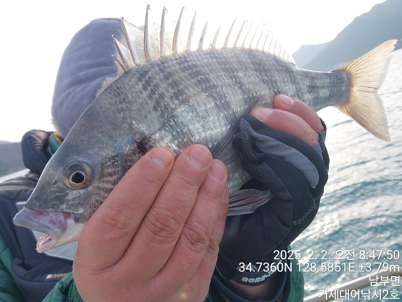 사용자가 올린 이미지