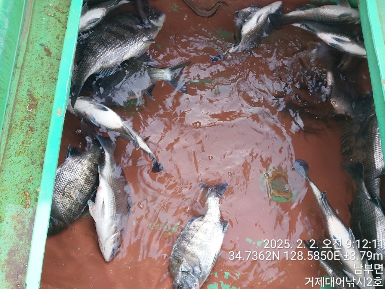 사용자가 올린 이미지