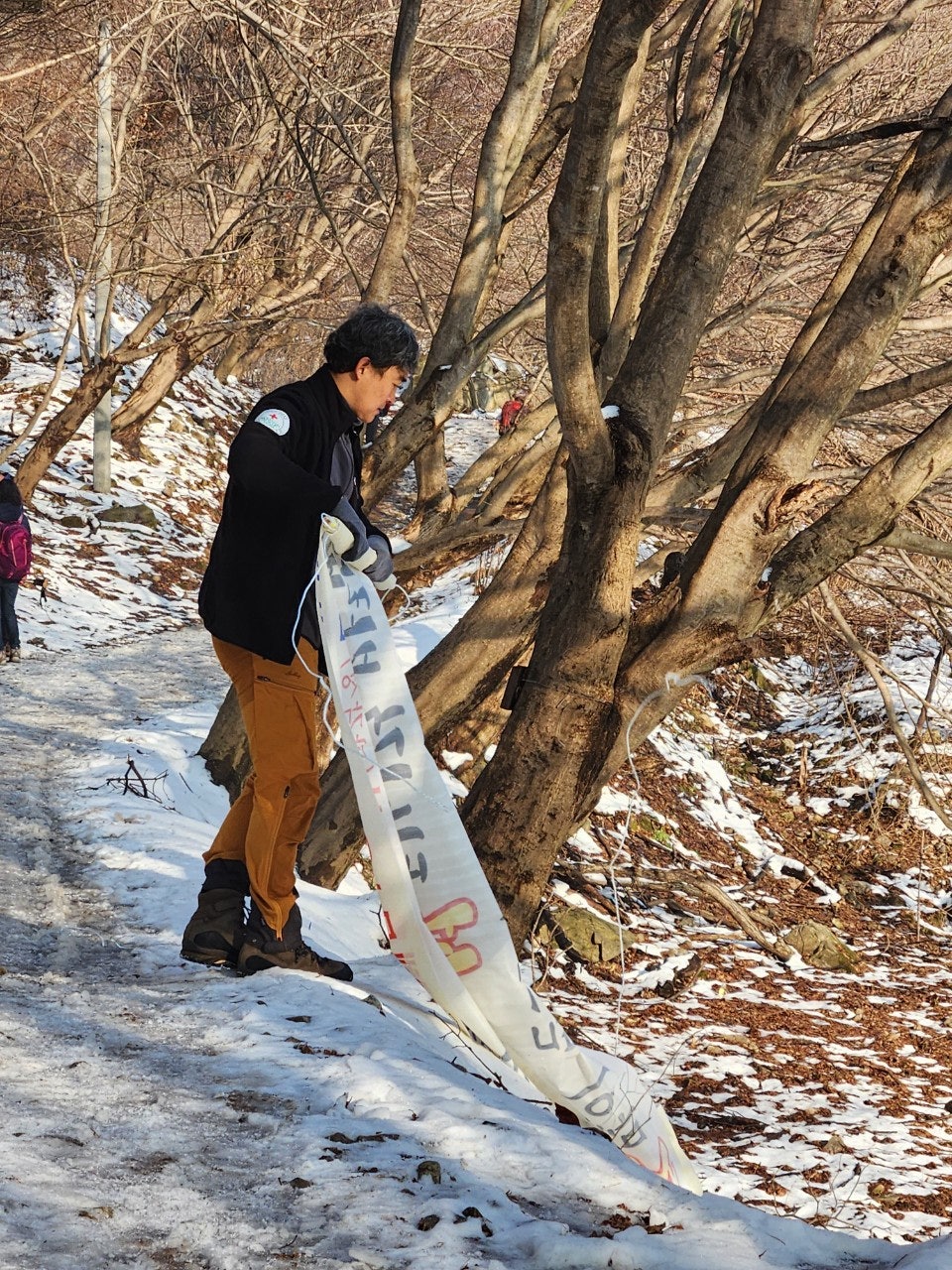 사용자가 올린 이미지