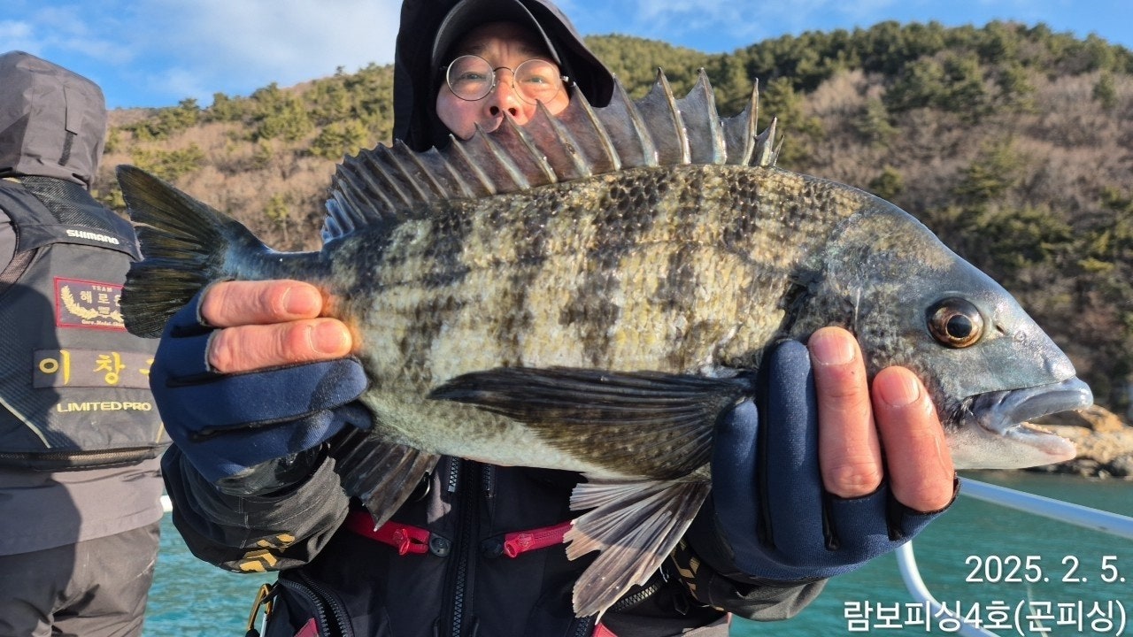 사용자가 올린 이미지