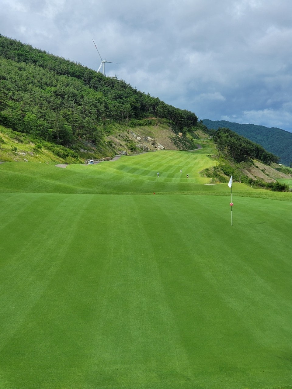 사용자가 올린 이미지