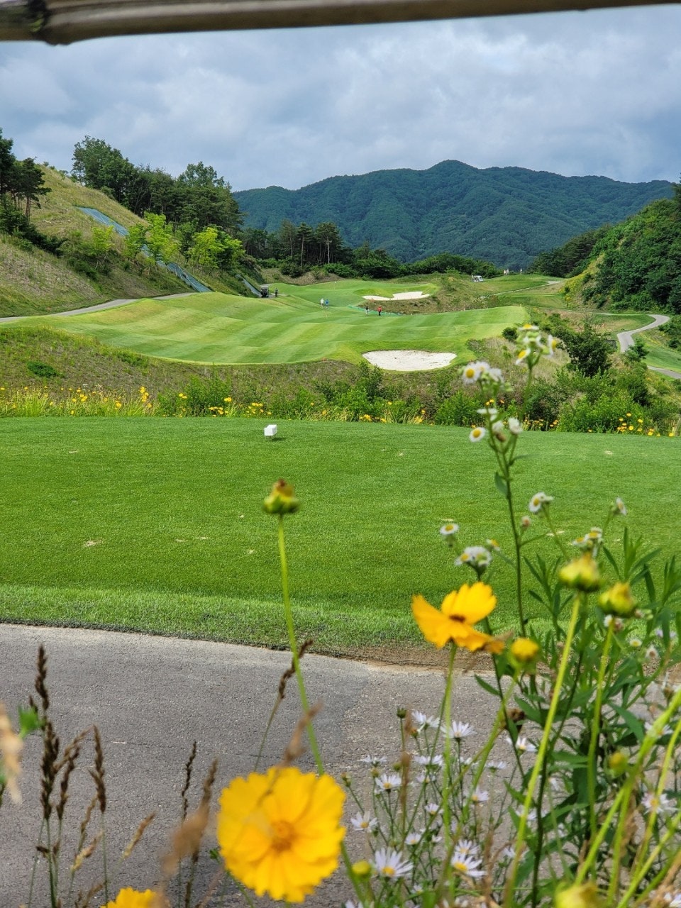 사용자가 올린 이미지