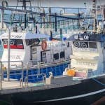 녹동 로아호, 선상낚시