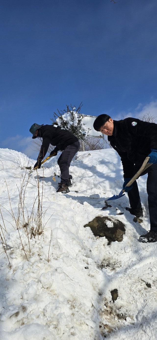 사용자가 올린 이미지