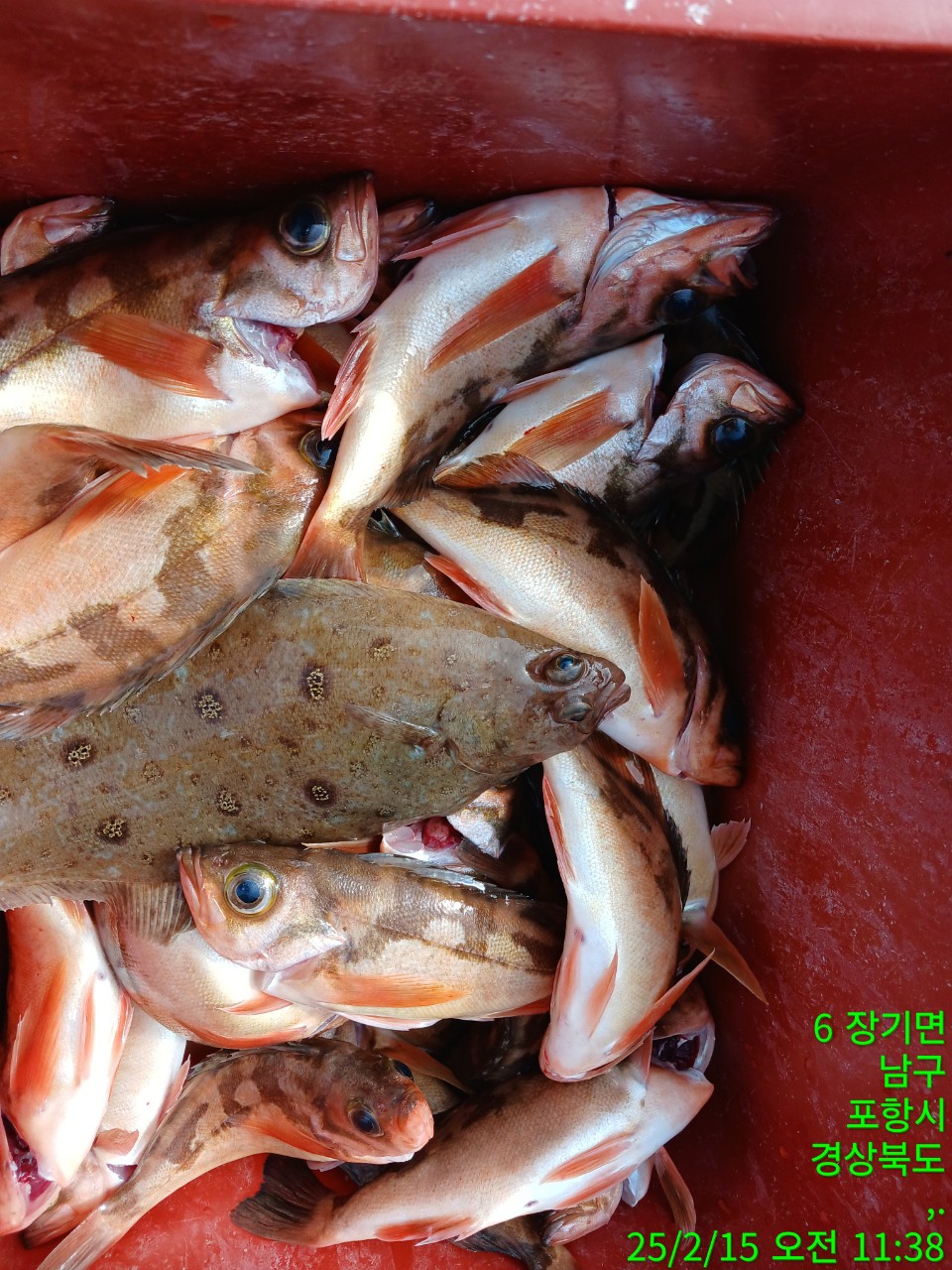 i_914Ud018svc1tudx456lbpon_9bt2m0.jpg