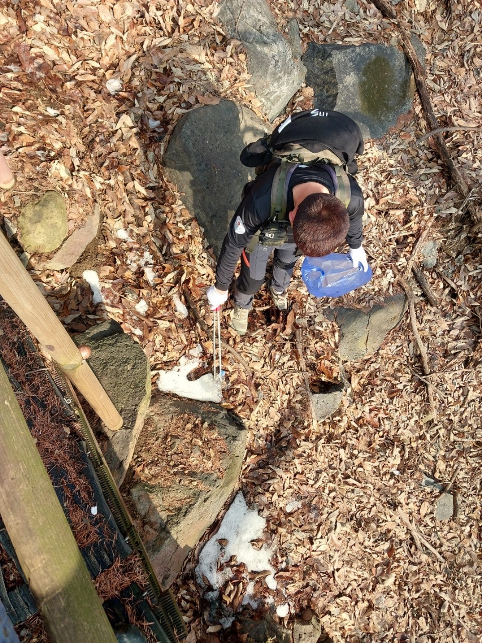 사용자가 올린 이미지