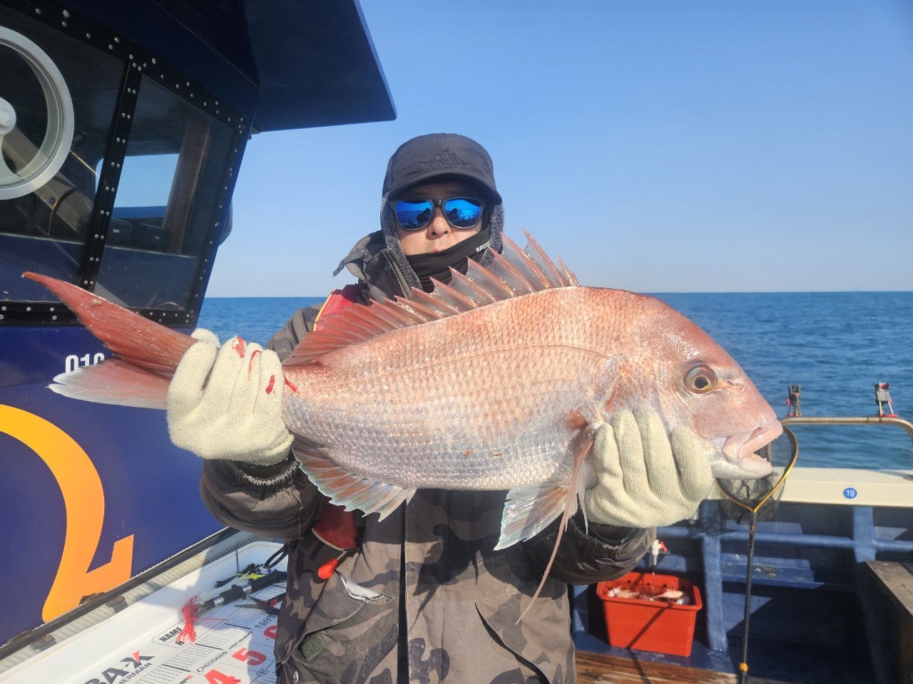 사용자가 올린 이미지