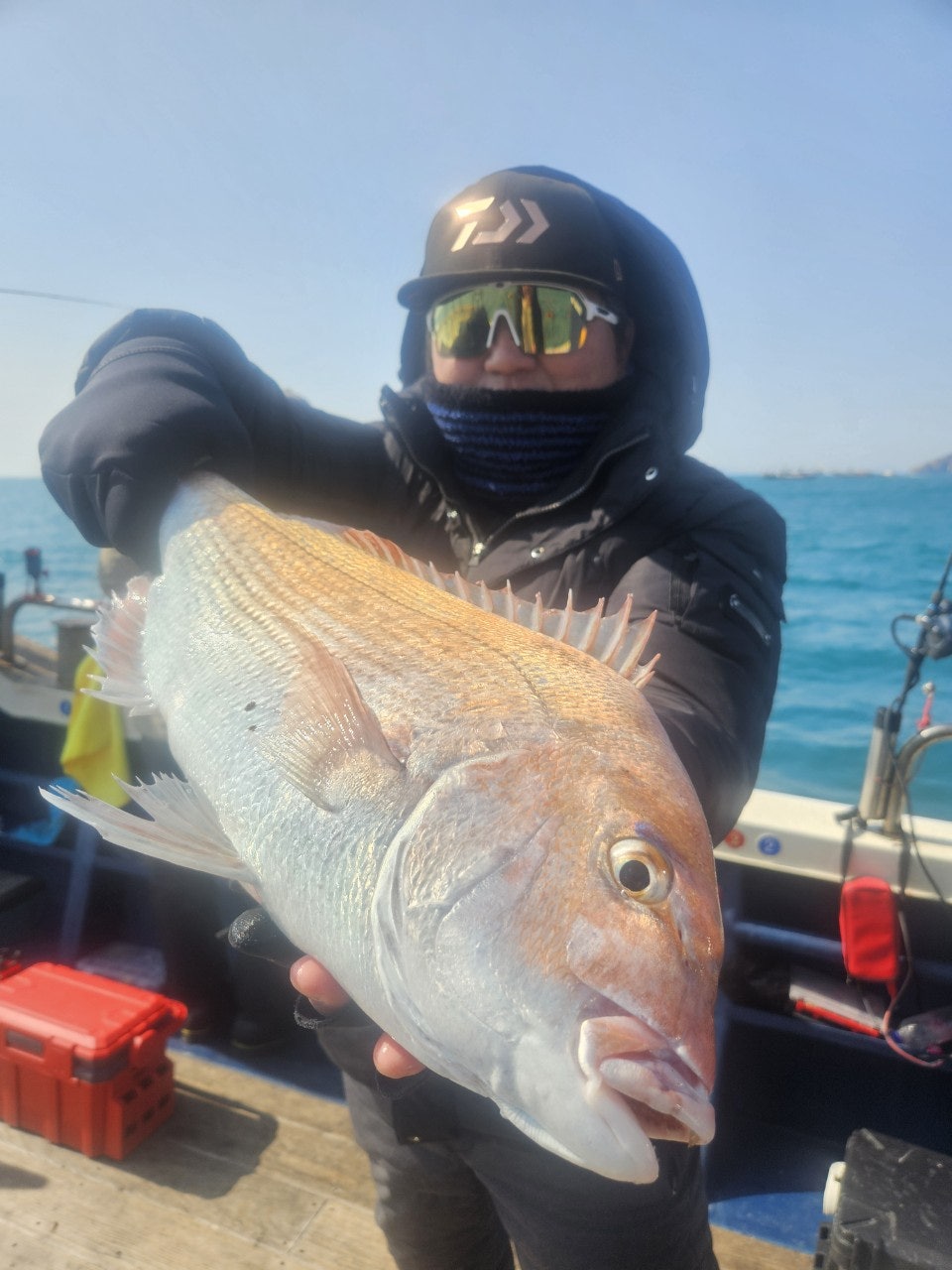 사용자가 올린 이미지