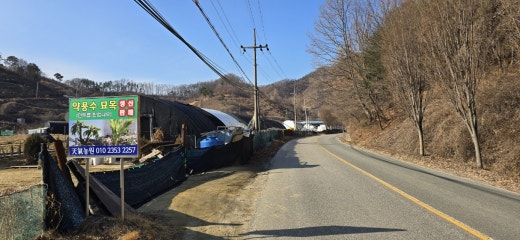 천기농원 이미지