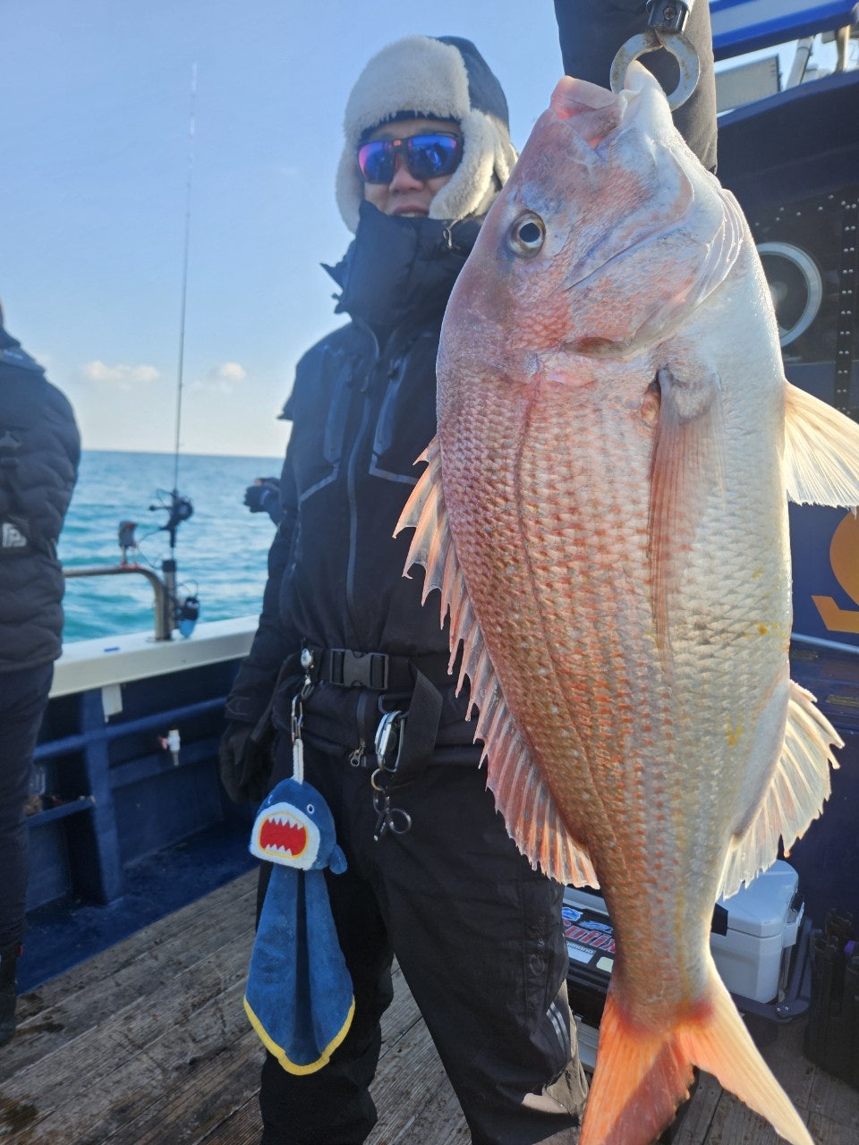 사용자가 올린 이미지