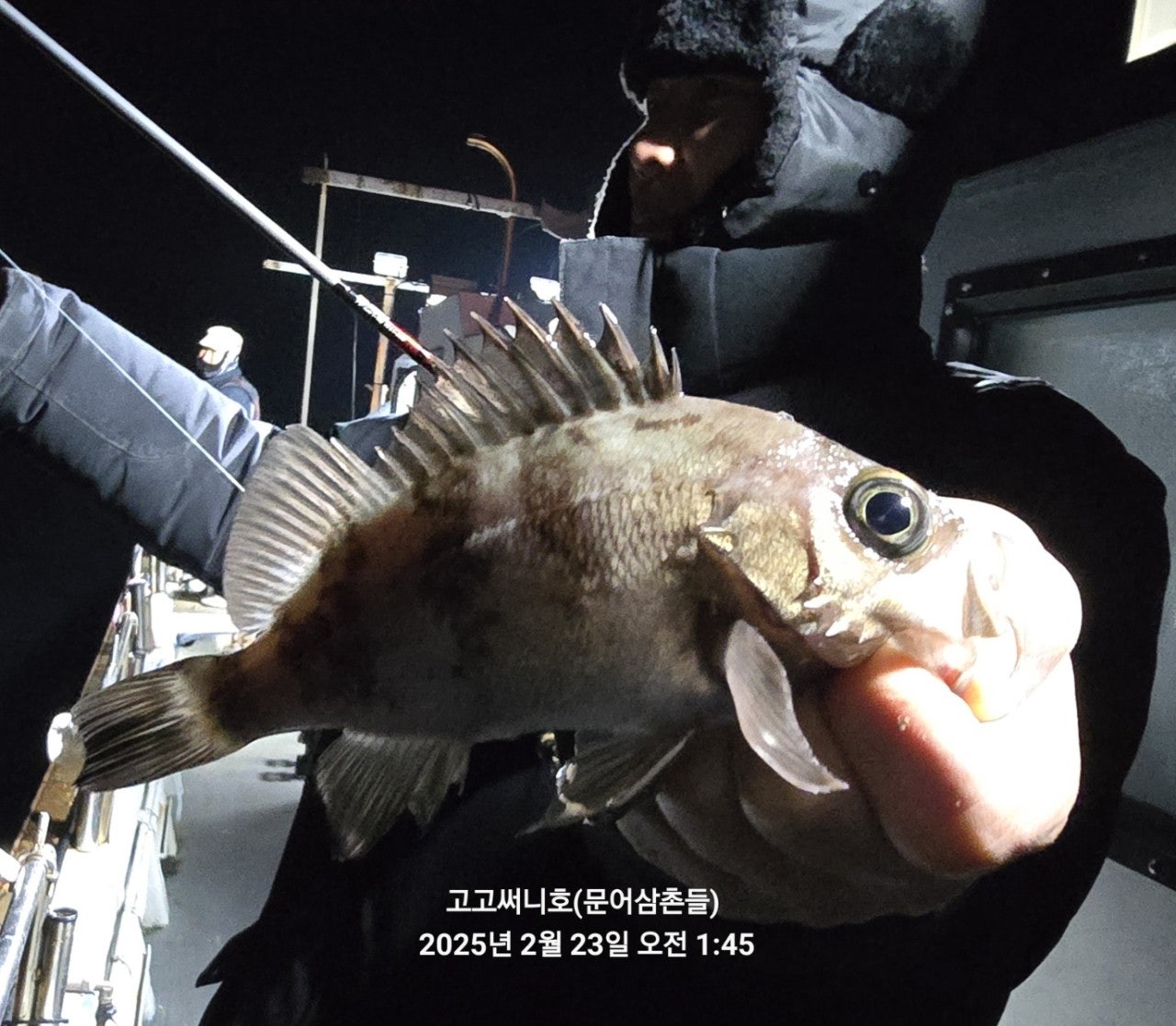 사용자가 올린 이미지