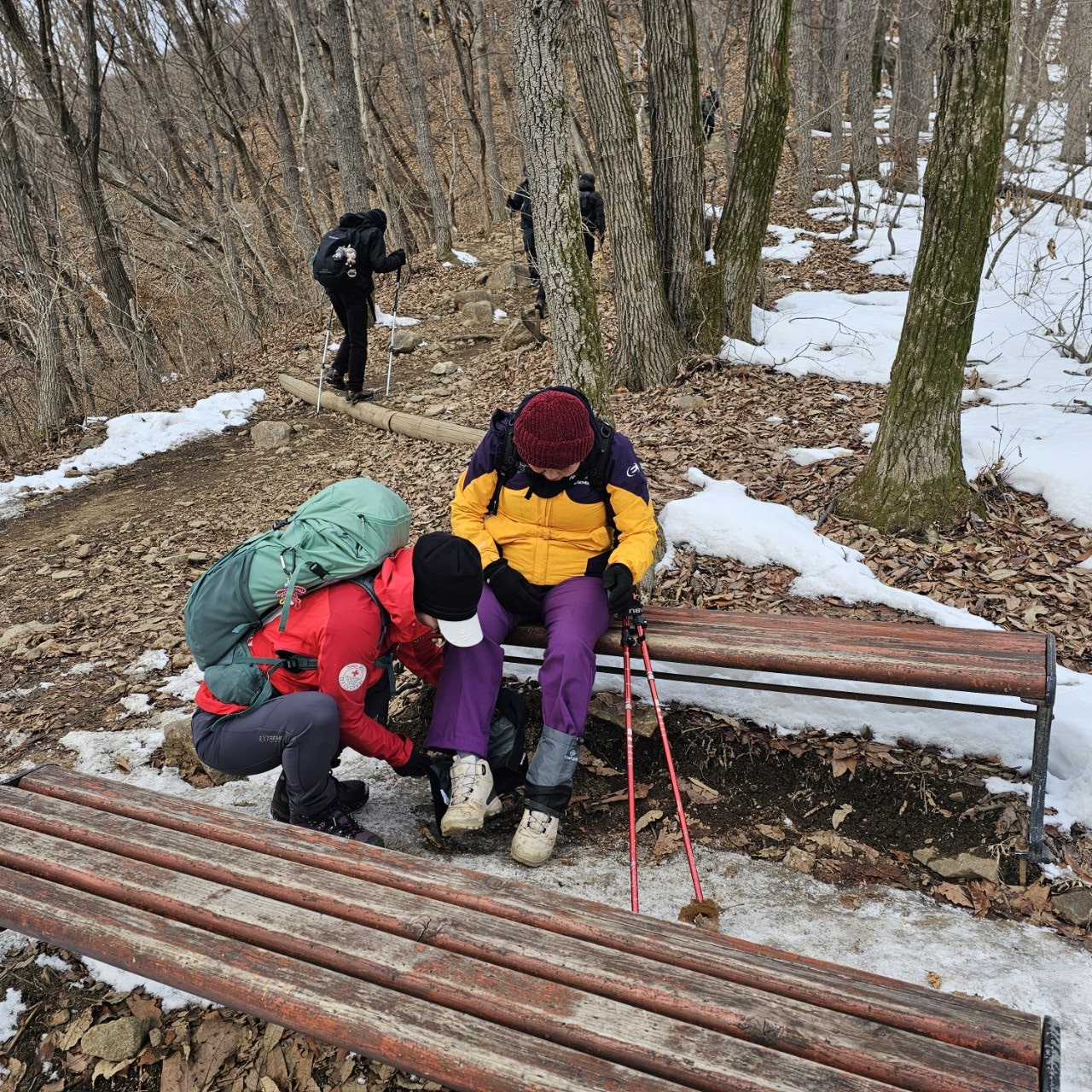 사용자가 올린 이미지