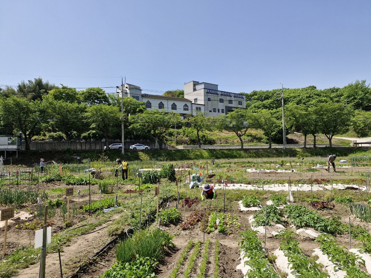 사용자가 올린 이미지