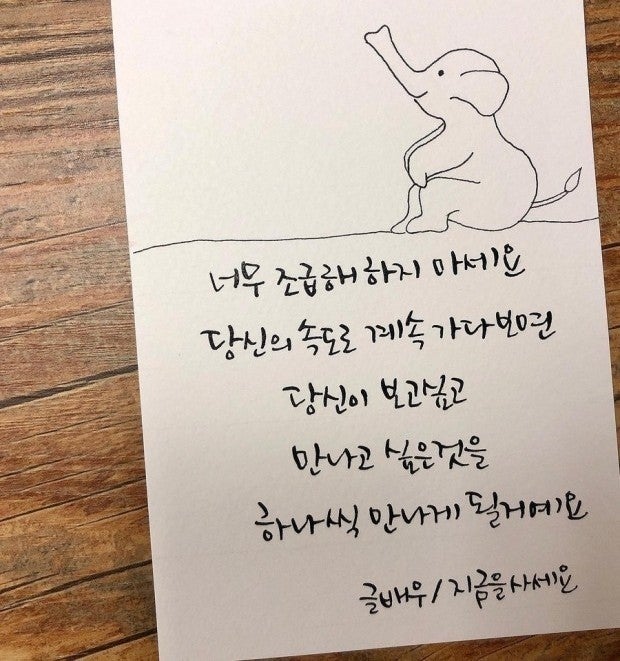 사용자가 올린 이미지
