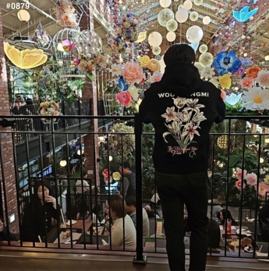 사용자가 올린 이미지