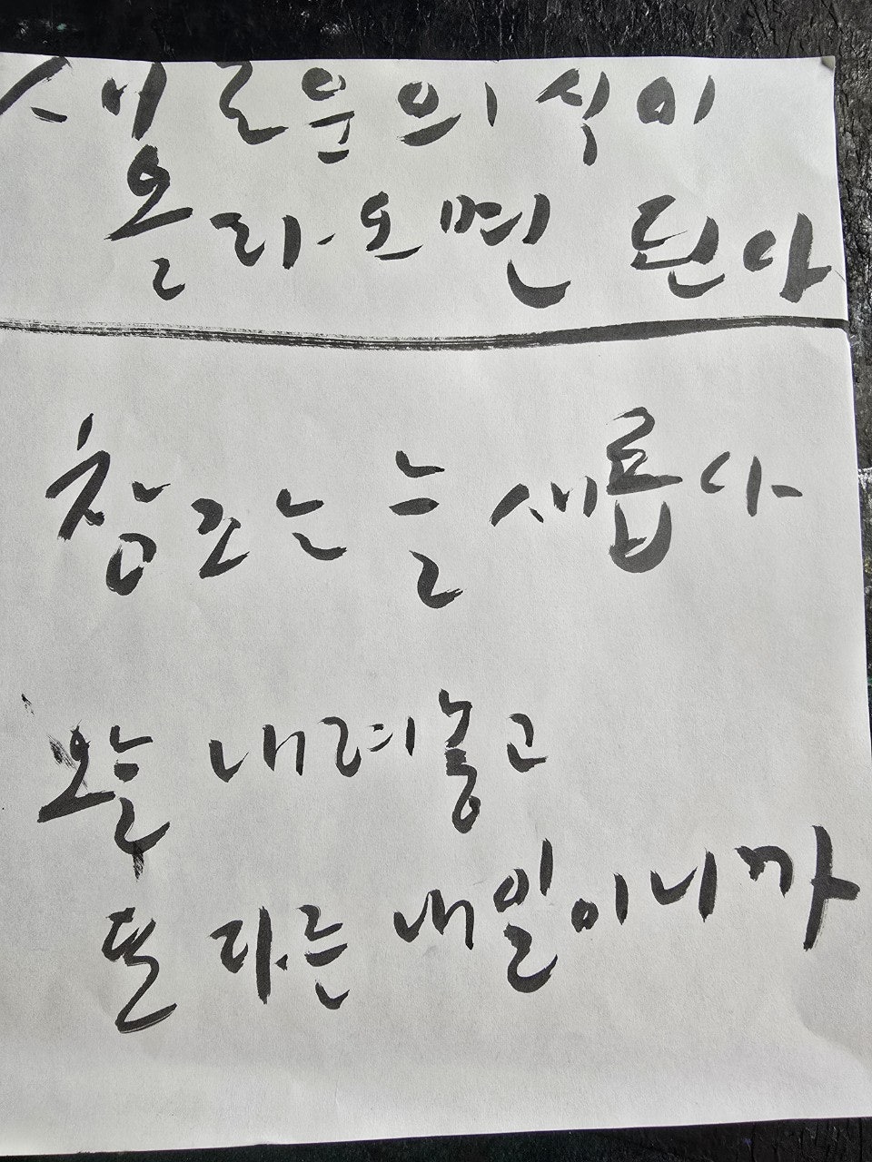 사용자가 올린 이미지