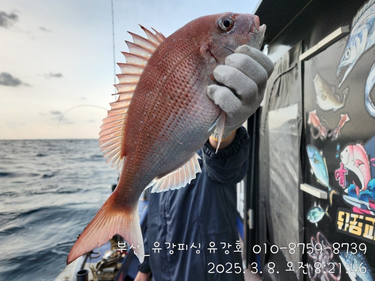 사용자가 올린 이미지