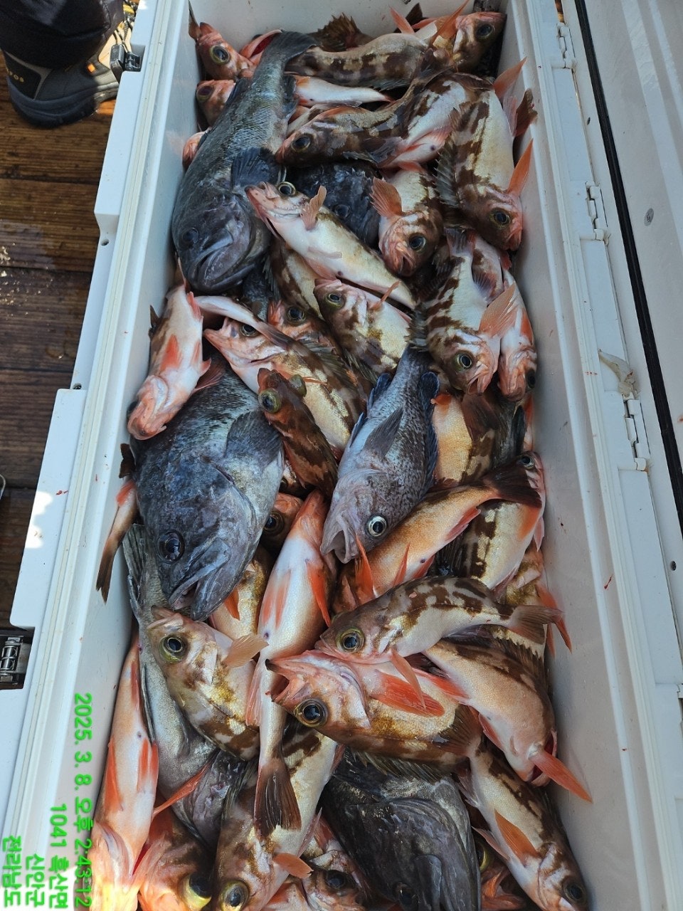 사용자가 올린 이미지