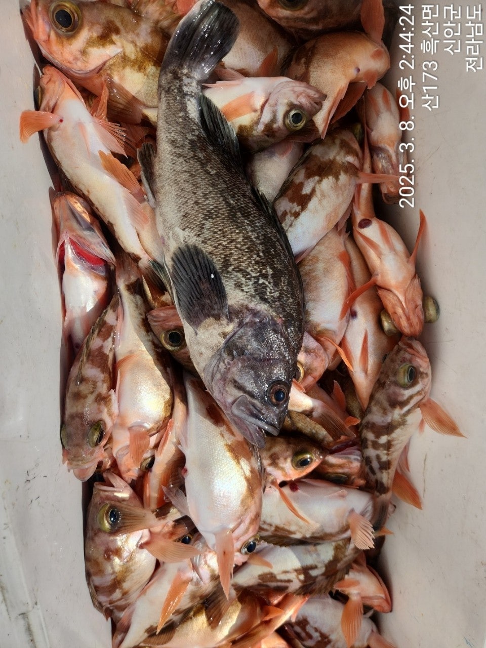 사용자가 올린 이미지