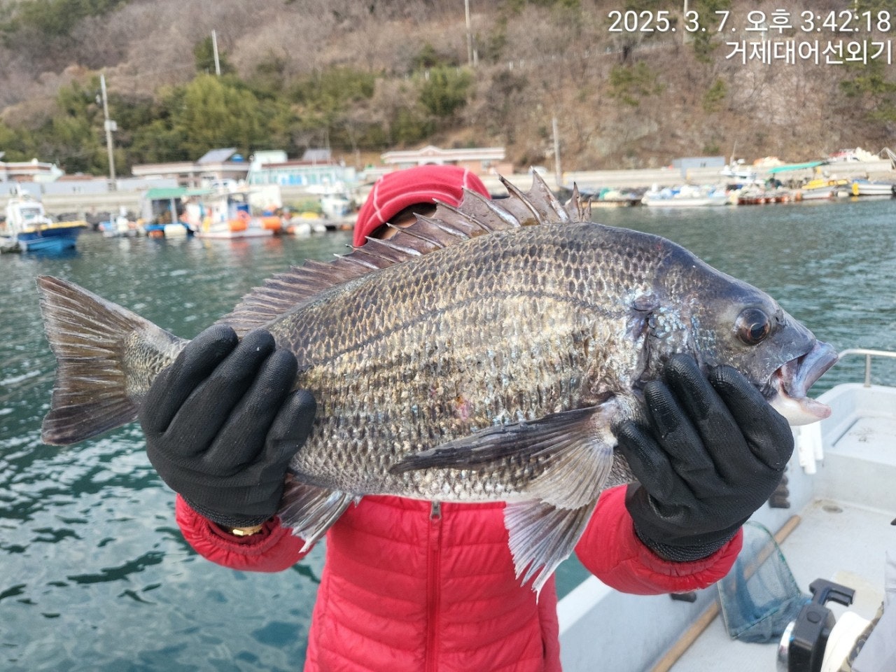 사용자가 올린 이미지