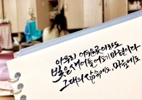 사용자가 올린 이미지