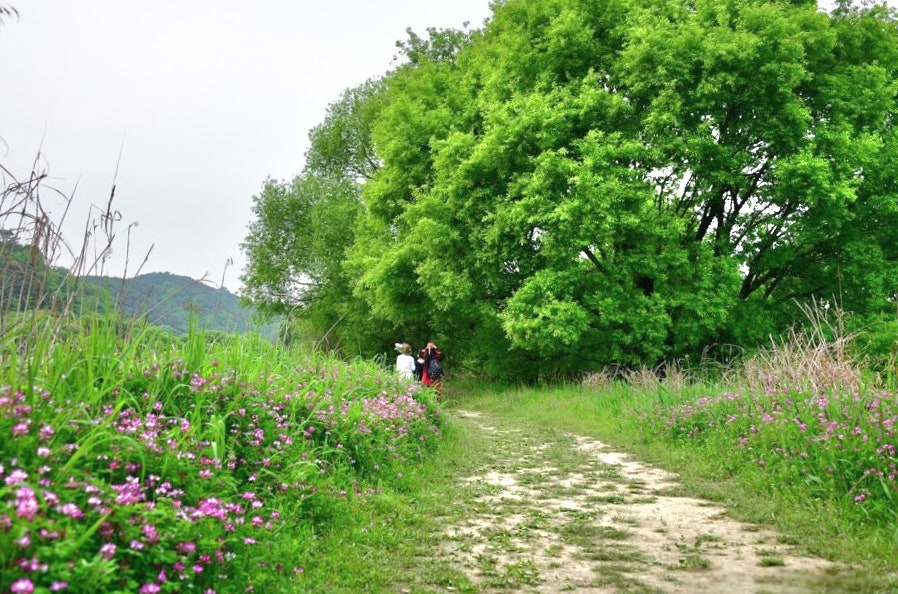 사용자가 올린 이미지