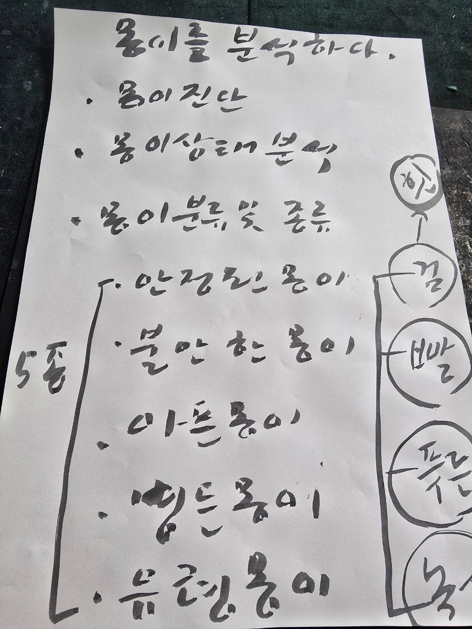 사용자가 올린 이미지