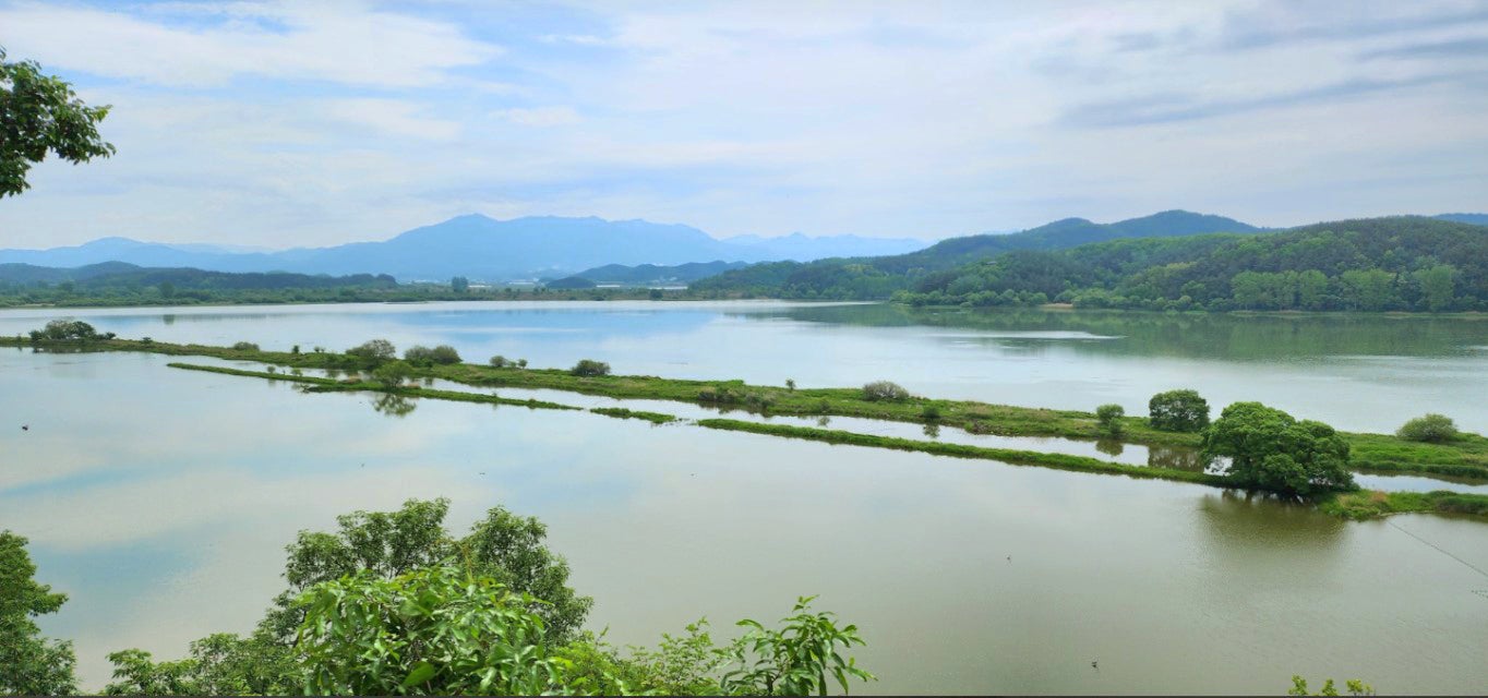 사용자가 올린 이미지