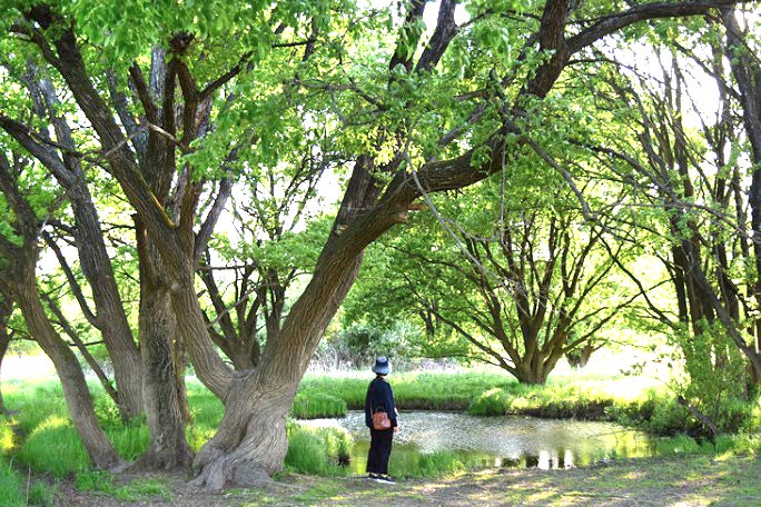 사용자가 올린 이미지