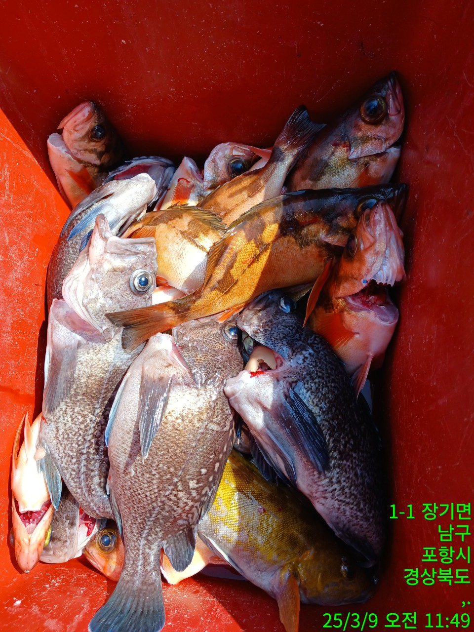 7_fhiUd018svc18conr27eu9x1_9bt2m0.jpg