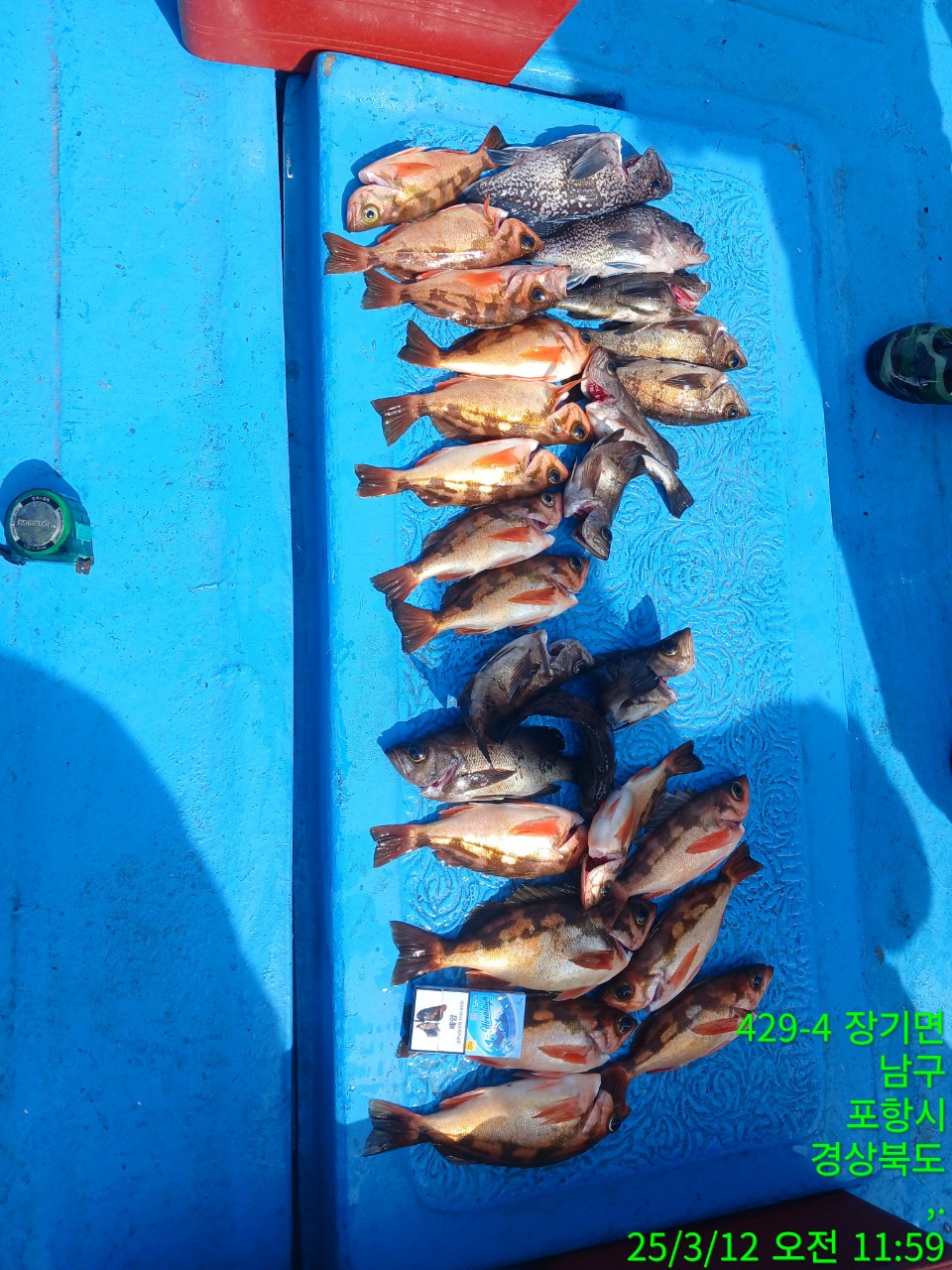 7_9hiUd018svct4g9gjo9iaux_9bt2m0.jpg