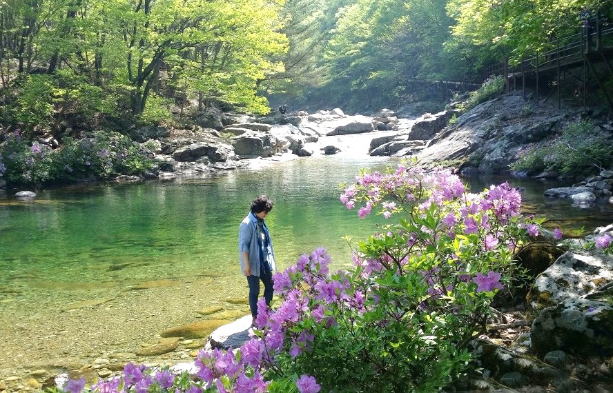 사용자가 올린 이미지