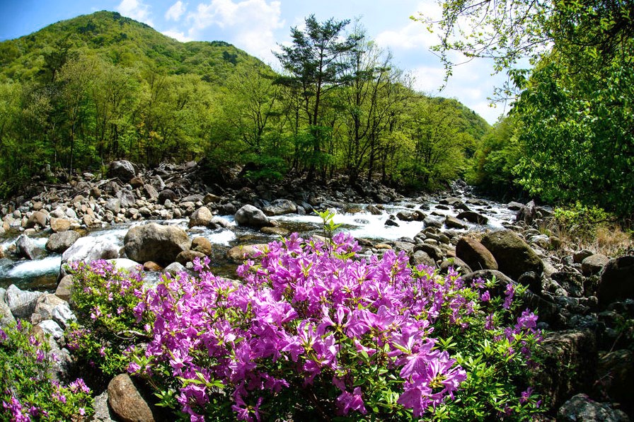 사용자가 올린 이미지