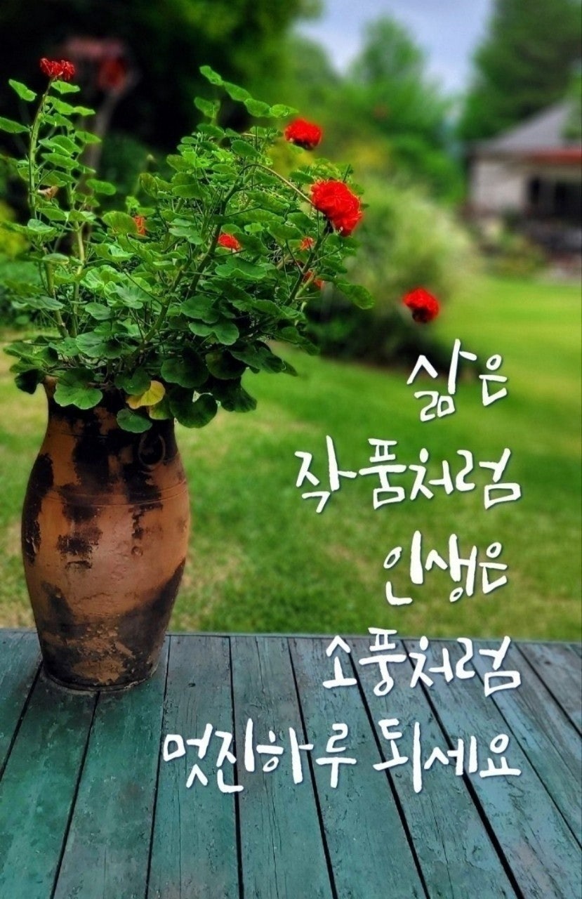 사용자가 올린 이미지
