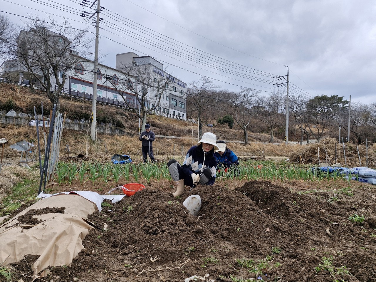 사용자가 올린 이미지