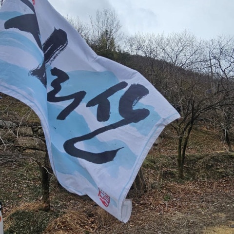 사용자가 올린 이미지