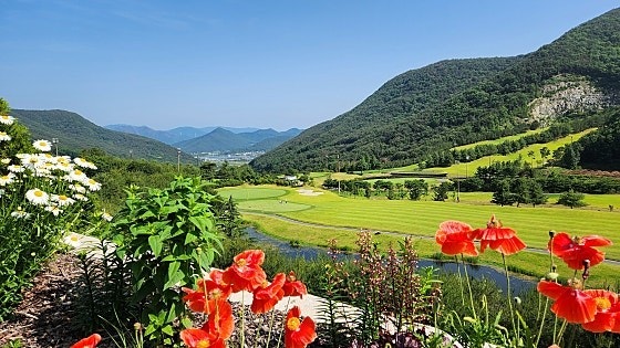 사용자가 올린 이미지